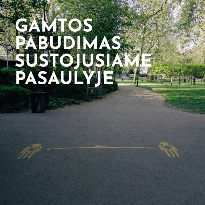 Gamtos pabudimas sustojusiame pasaulyje - Nula | Priemonės tvaresnei Tavo kasdienai