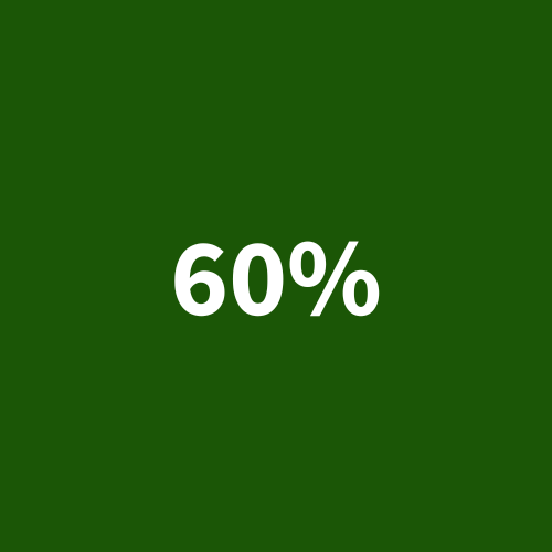 Nuolaidos 60%