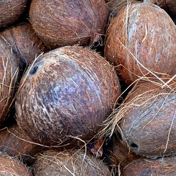 Ecococonut šveistukai iš kokoso pluošto